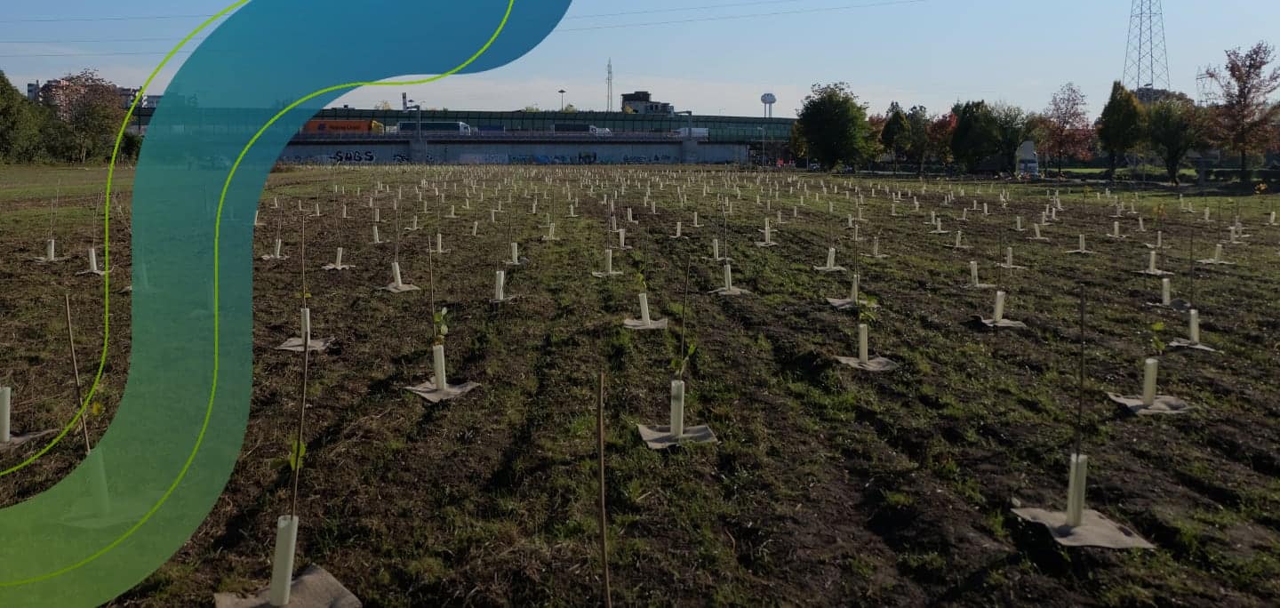 Con la nostra community Greeners abbiamo piantato oltre 500 alberi