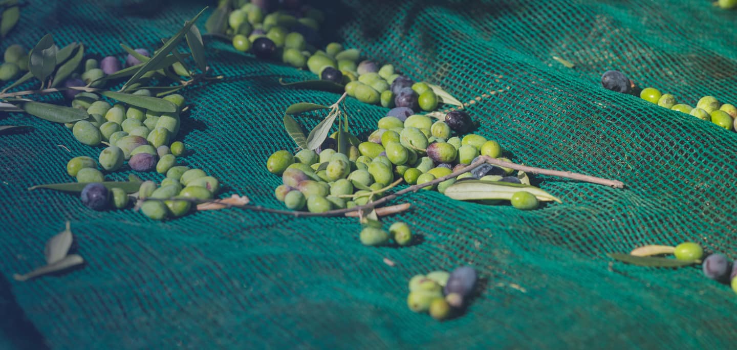 PRODURRE BIOMETANO DA SOTTOPRODOTTI AGRICOLI