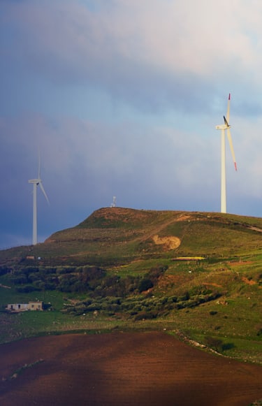 RINNOVABILI: IL NOSTRO IMPEGNO PER UN FUTURO SEMPRE PIÙ GREEN