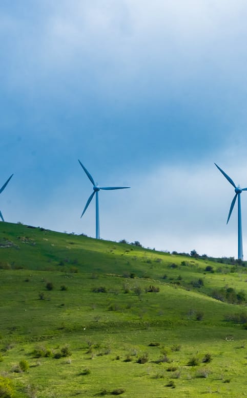 ENERGIA EOLICA, LA FORZA DEL VENTO