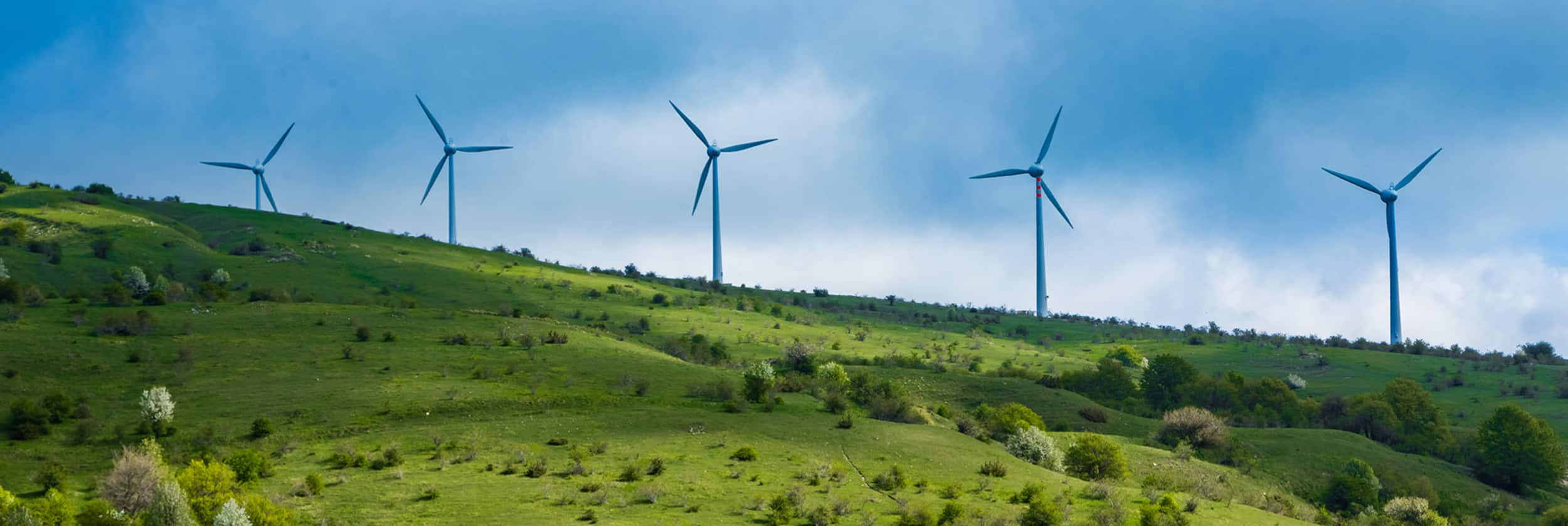 ENERGIA EOLICA, LA FORZA DEL VENTO 