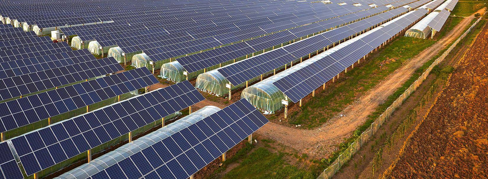 gaudi terna fotovoltaico