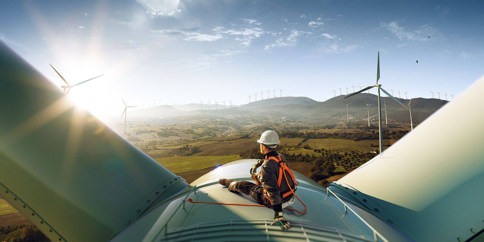 gestori energia elettrica a confronto