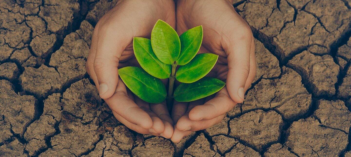 prezzo del gas naturale 