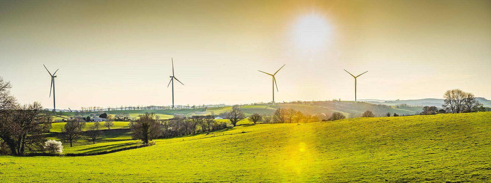 energia eolica