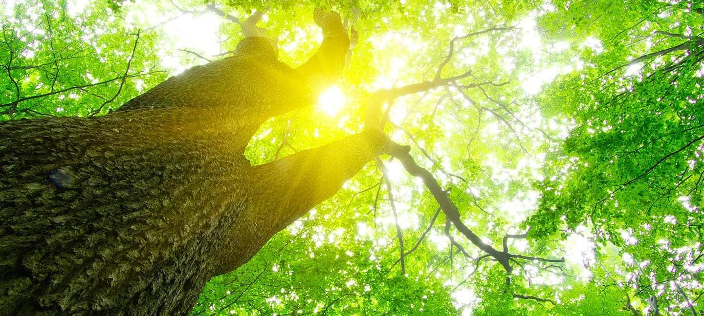 energia green