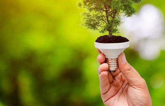 energia elettrica rinnovabile