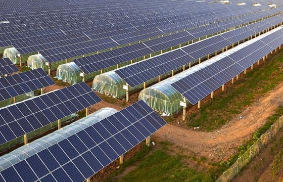 gaudi terna fotovoltaico