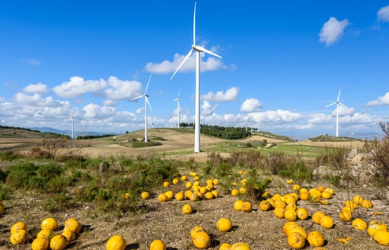 energia eolica